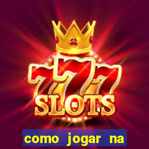 como jogar na lotinha do jogo do bicho